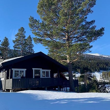 Uvdalhytta - Close To Cross Country And Downhill Skiing Sonstebo Luaran gambar