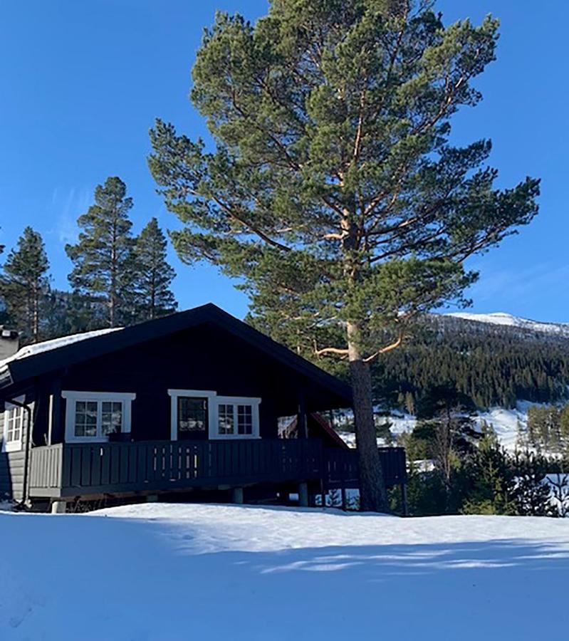 Uvdalhytta - Close To Cross Country And Downhill Skiing Sonstebo Luaran gambar