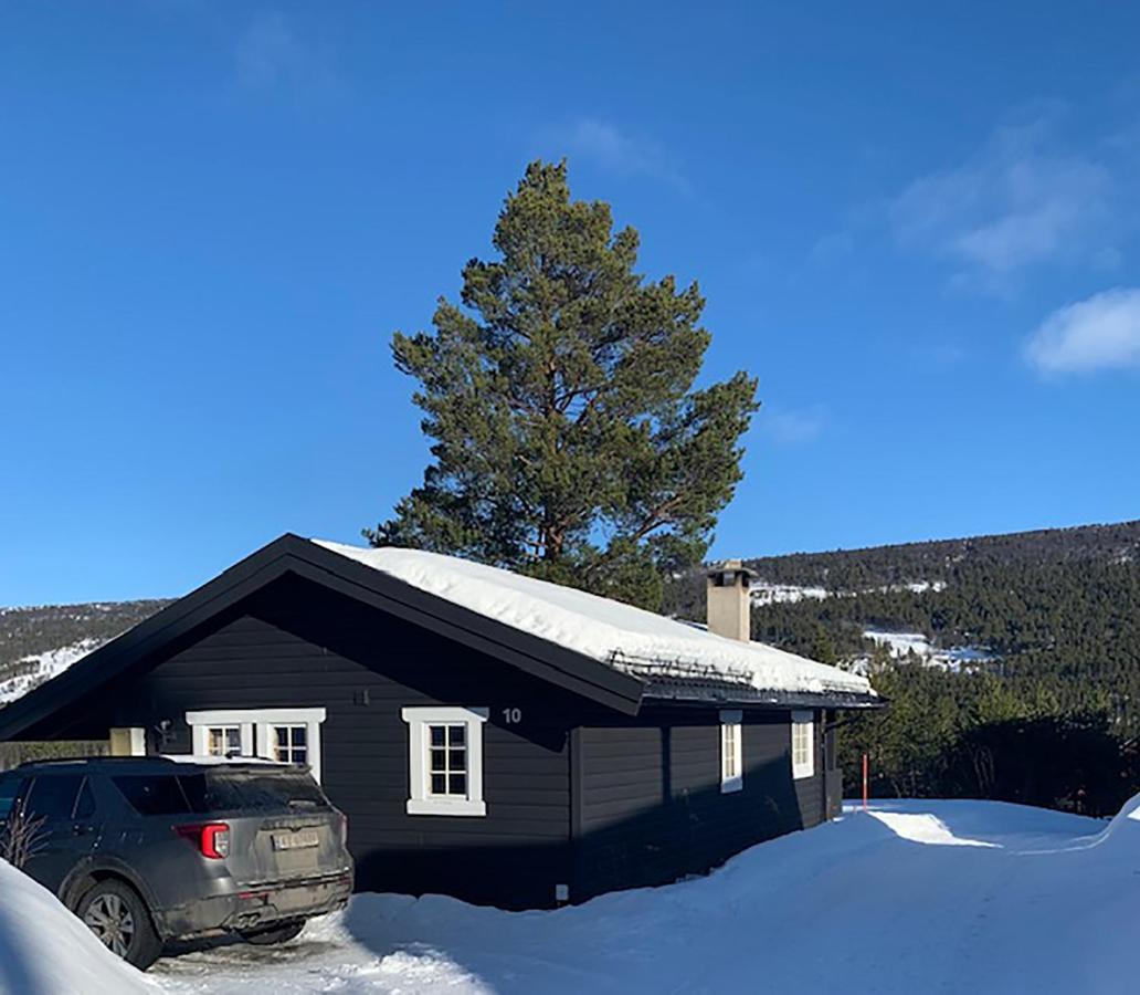 Uvdalhytta - Close To Cross Country And Downhill Skiing Sonstebo Luaran gambar