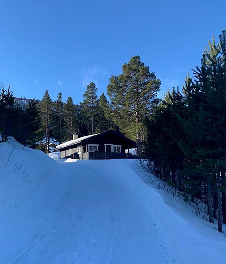 Uvdalhytta - Close To Cross Country And Downhill Skiing Sonstebo Luaran gambar